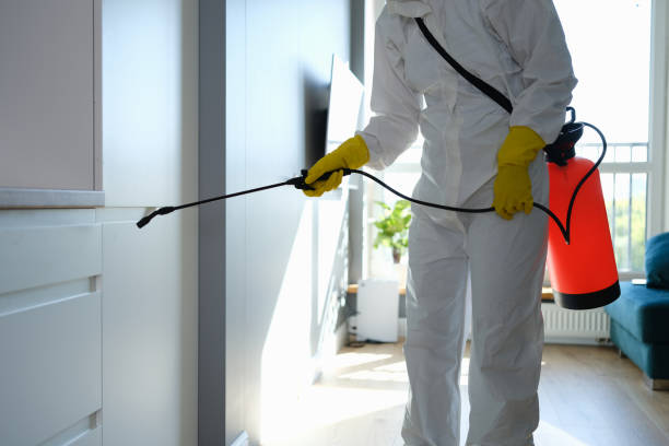 Best Health and Safety Mold Remediation in Bayard, NE